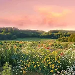 Large, Atmospheric In The Countryside * Belczna