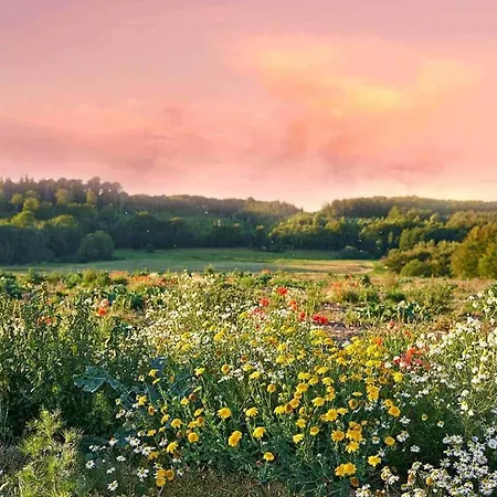 Large, Atmospheric In The Countryside * Belczna