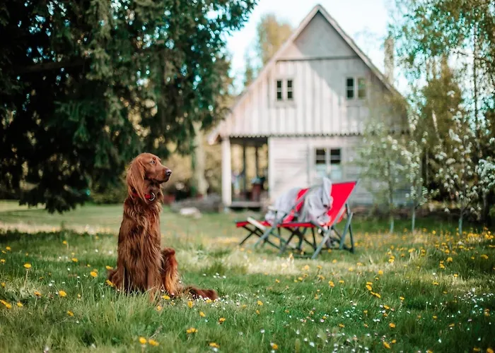 Holiday home Large, Atmospheric In The Countryside *