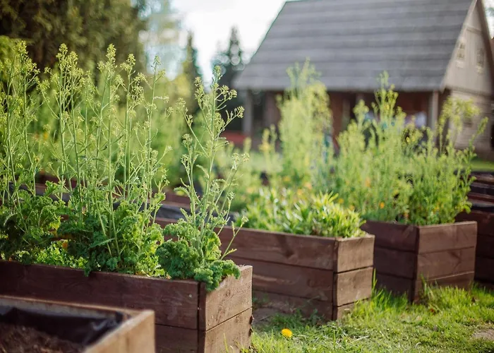 Large, Atmospheric In The Countryside