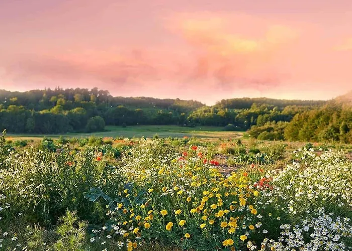 Large, Atmospheric In The Countryside * Belczna