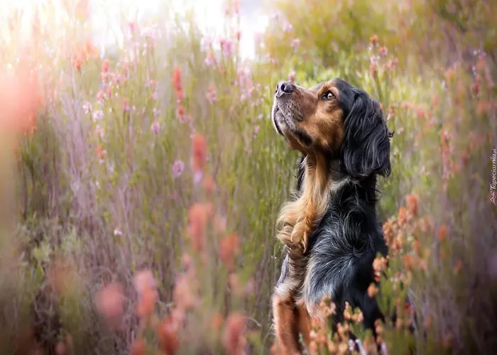 Large, Atmospheric In The Countryside Holiday home Belczna